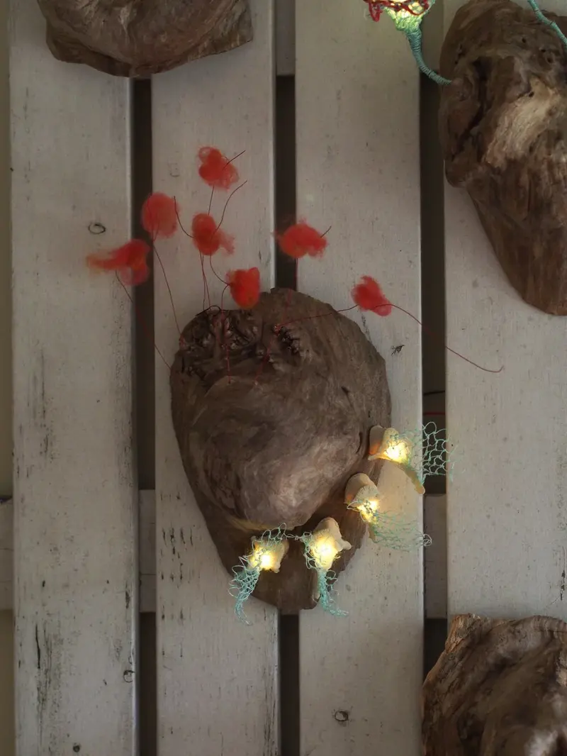 Burl Life (2014)