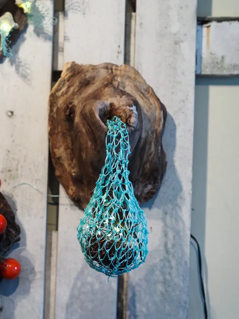 Burl Life (2014)