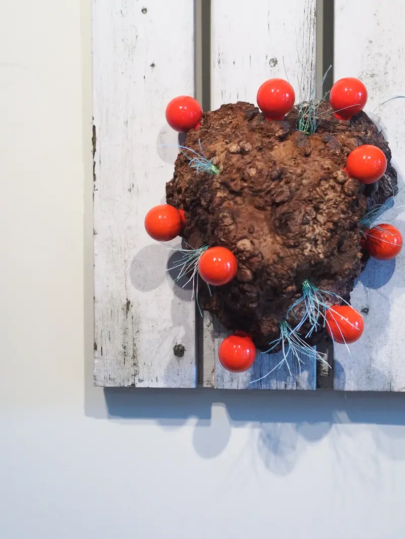 Burl Life (2014)