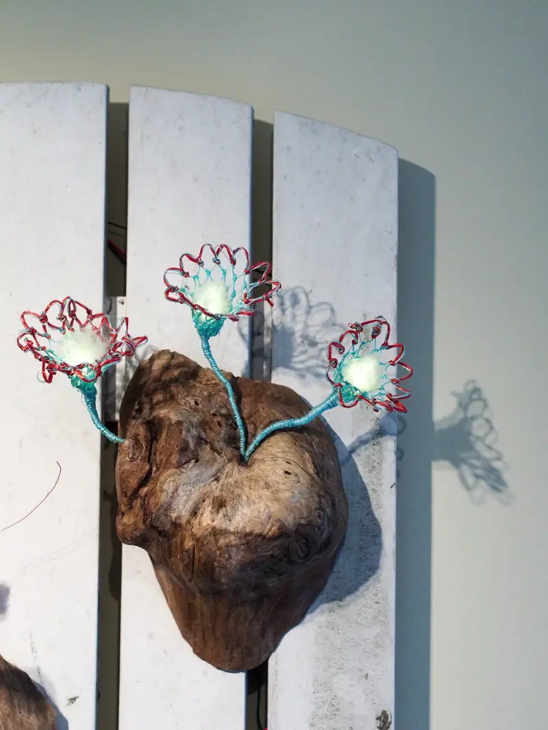 Burl Life (2014)