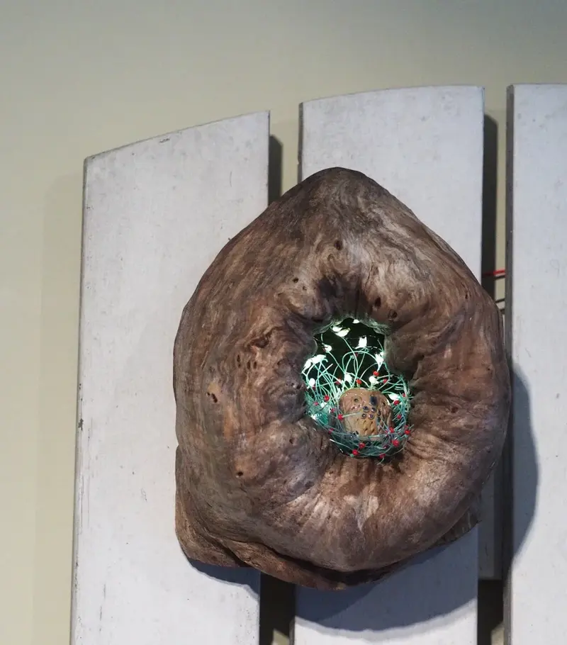 Burl Life (2014)