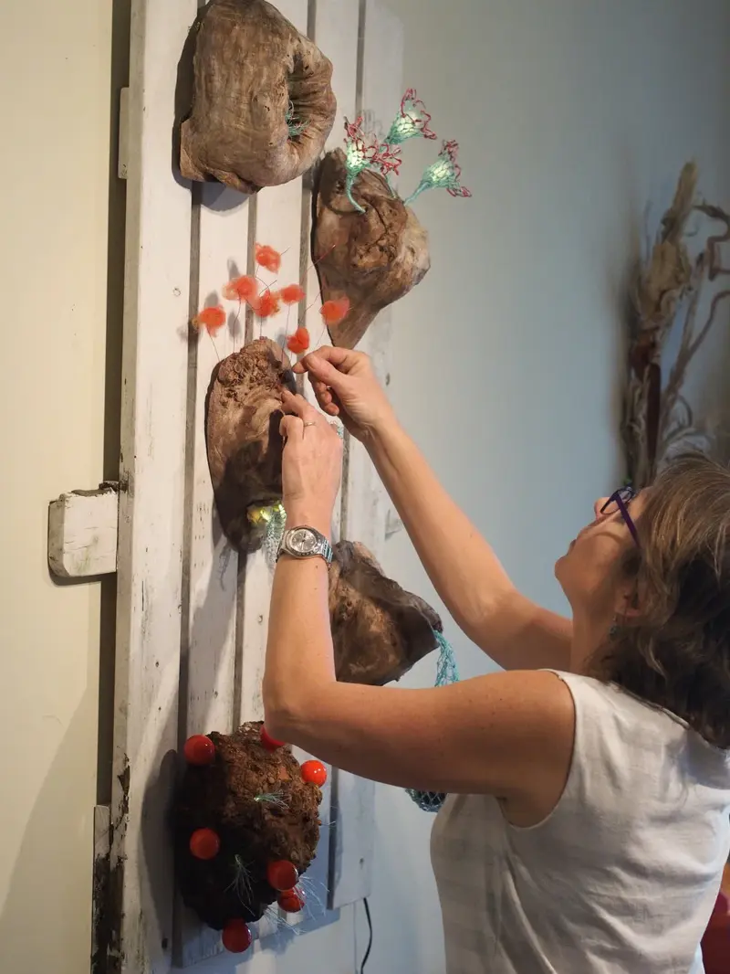 Burl Life (2014)