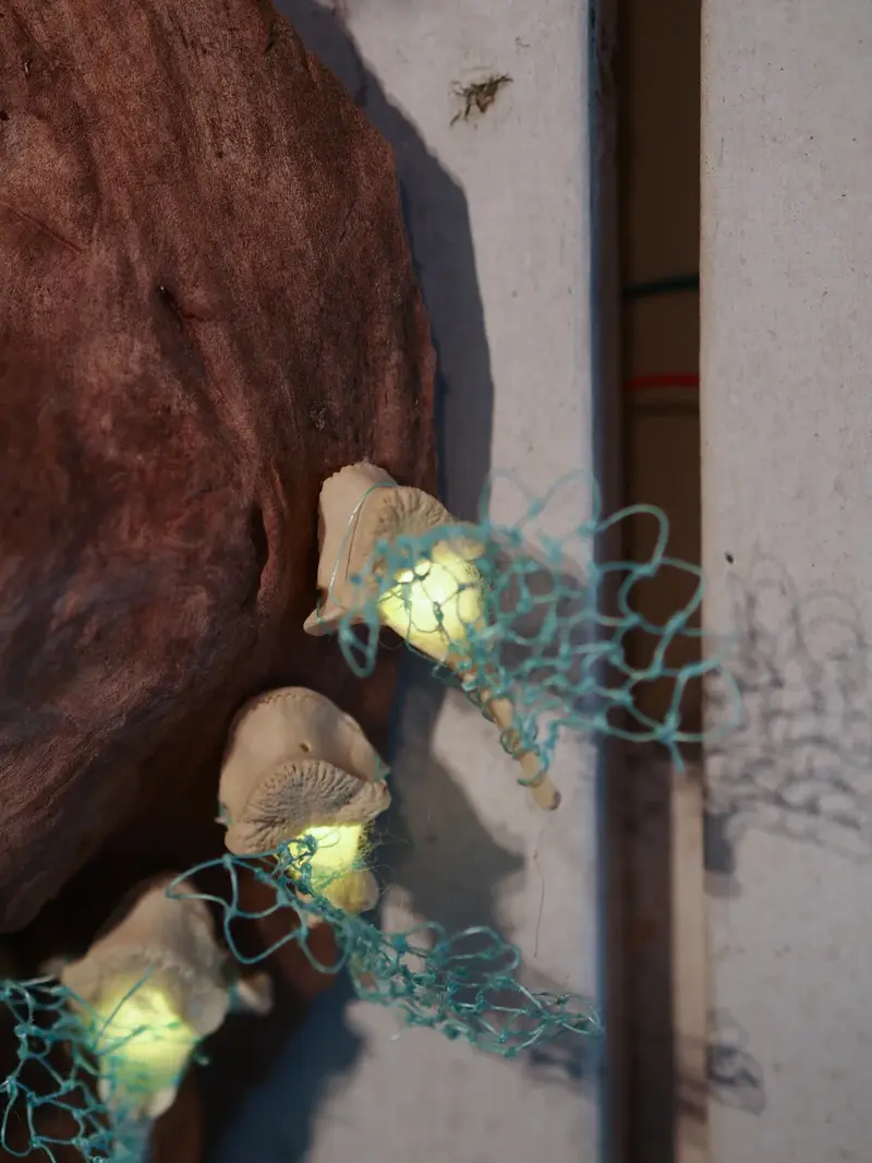 Burl Life (2014)