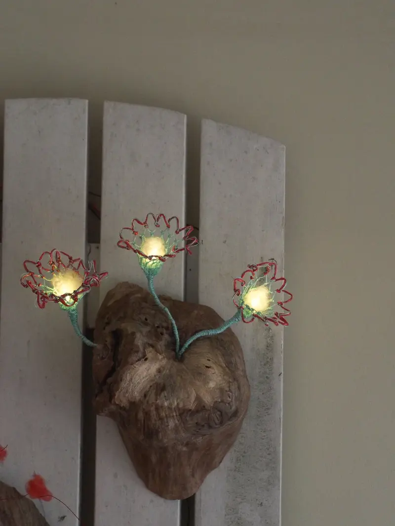 Burl Life (2014)
