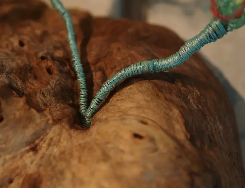 Burl Life (2014)