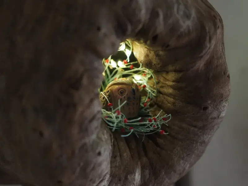 Burl Life (2014)