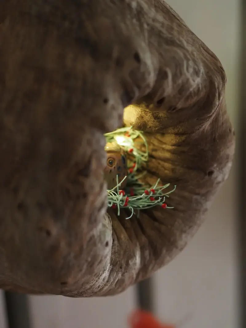 Burl Life (2014)