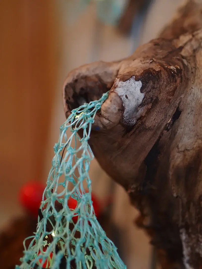 Burl Life (2014)