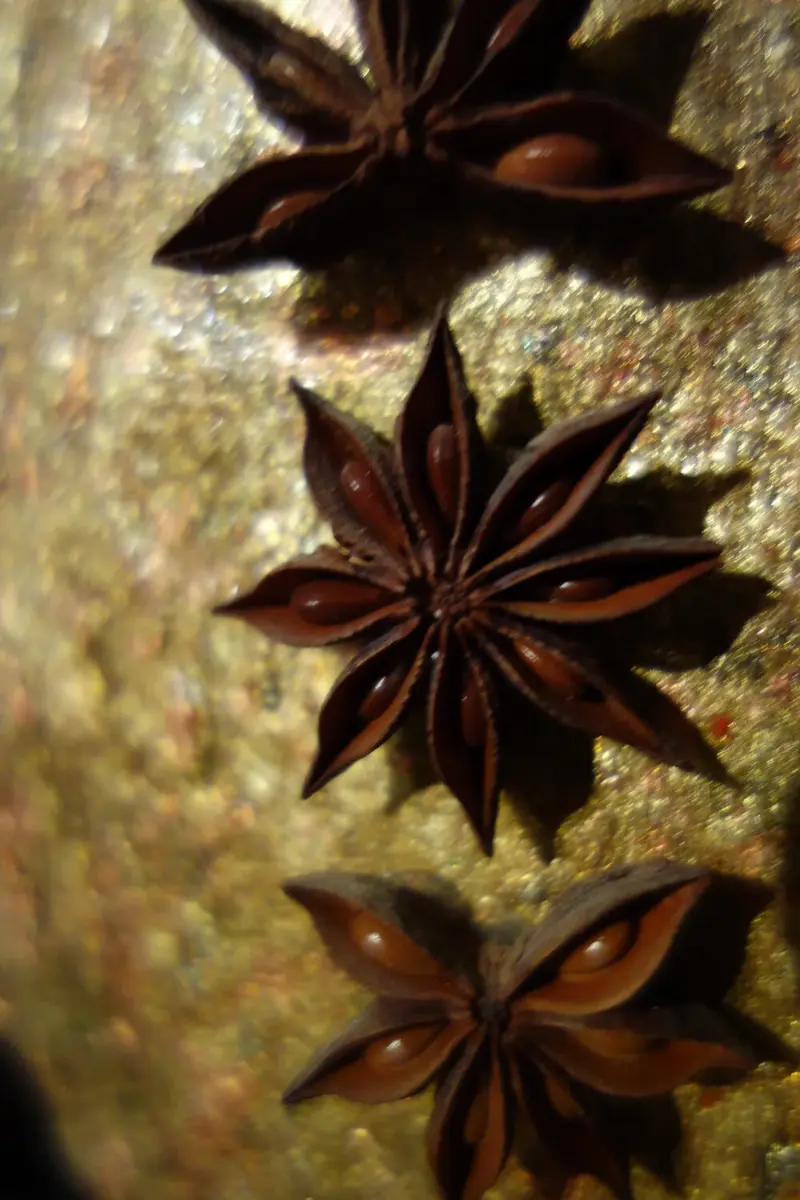 Chestnut Dancer (2012)
