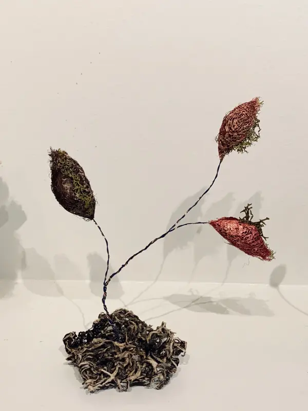 Cocoons (2019)