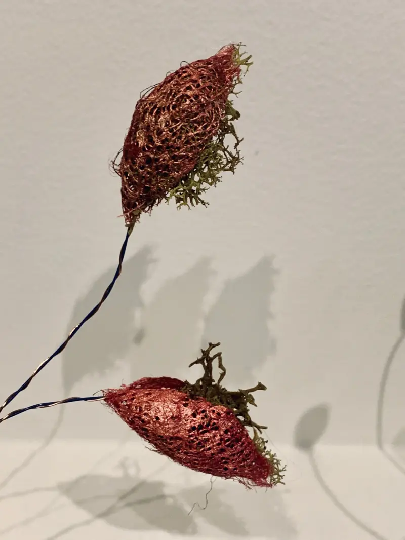 Cocoons (2019)