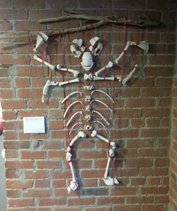 Dancing Guy (2012)