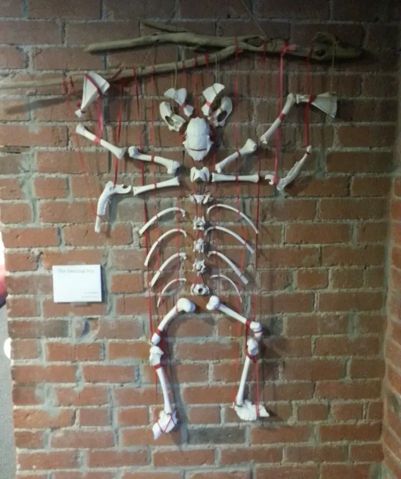 Dancing Guy (2012)