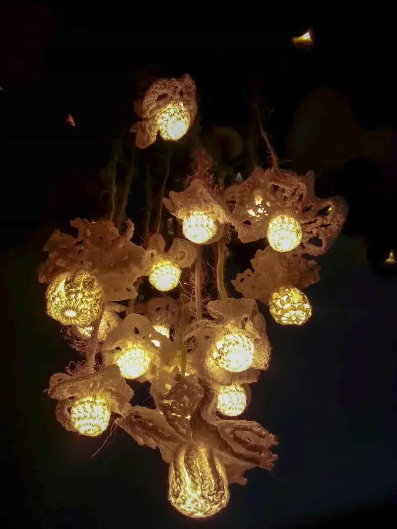 Jelly Light (2013)