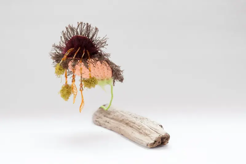 Life Forms (2016)