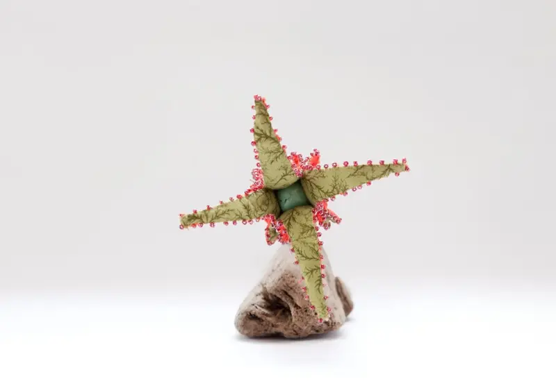 Life Forms (2016)