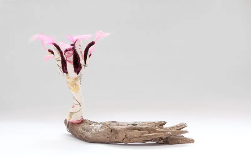 Life Forms (2016)