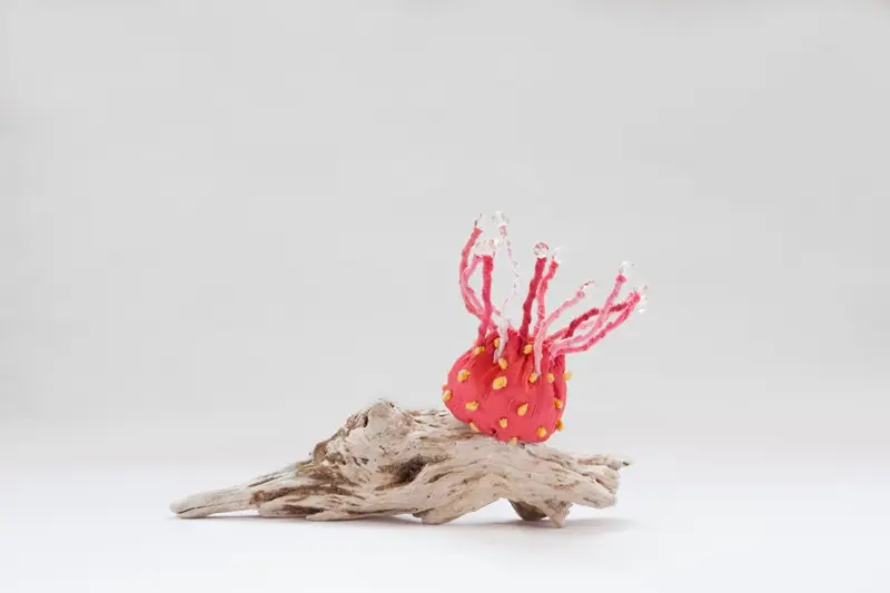 Life Forms (2016)