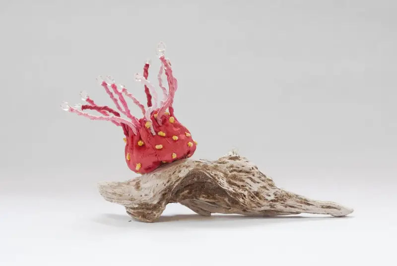 Life Forms (2016)