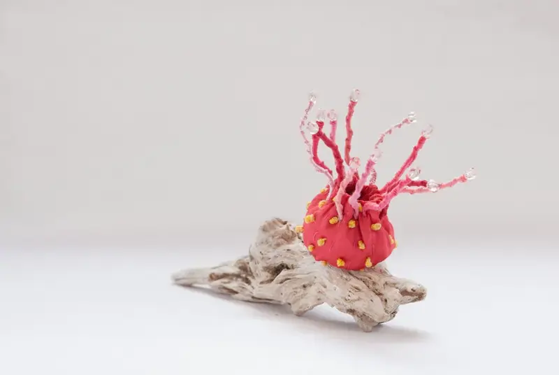 Life Forms (2016)