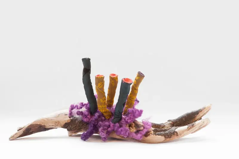 Life Forms (2016)