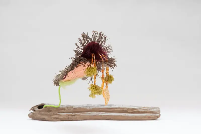 Life Forms (2016)