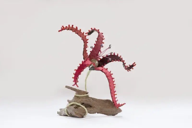 Life Forms (2016)