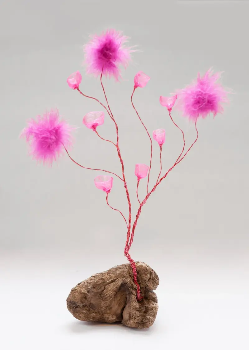 Life Forms (2016)