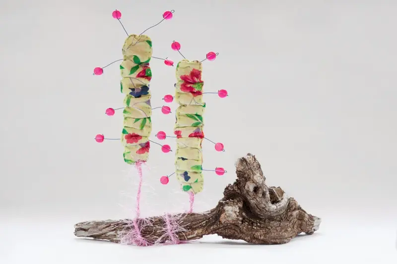 Life Forms (2016)