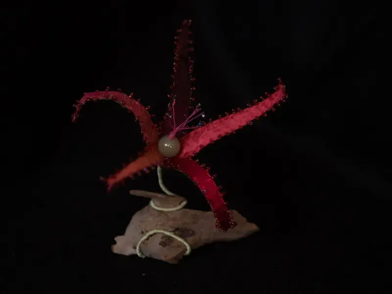 Life Forms (2016)