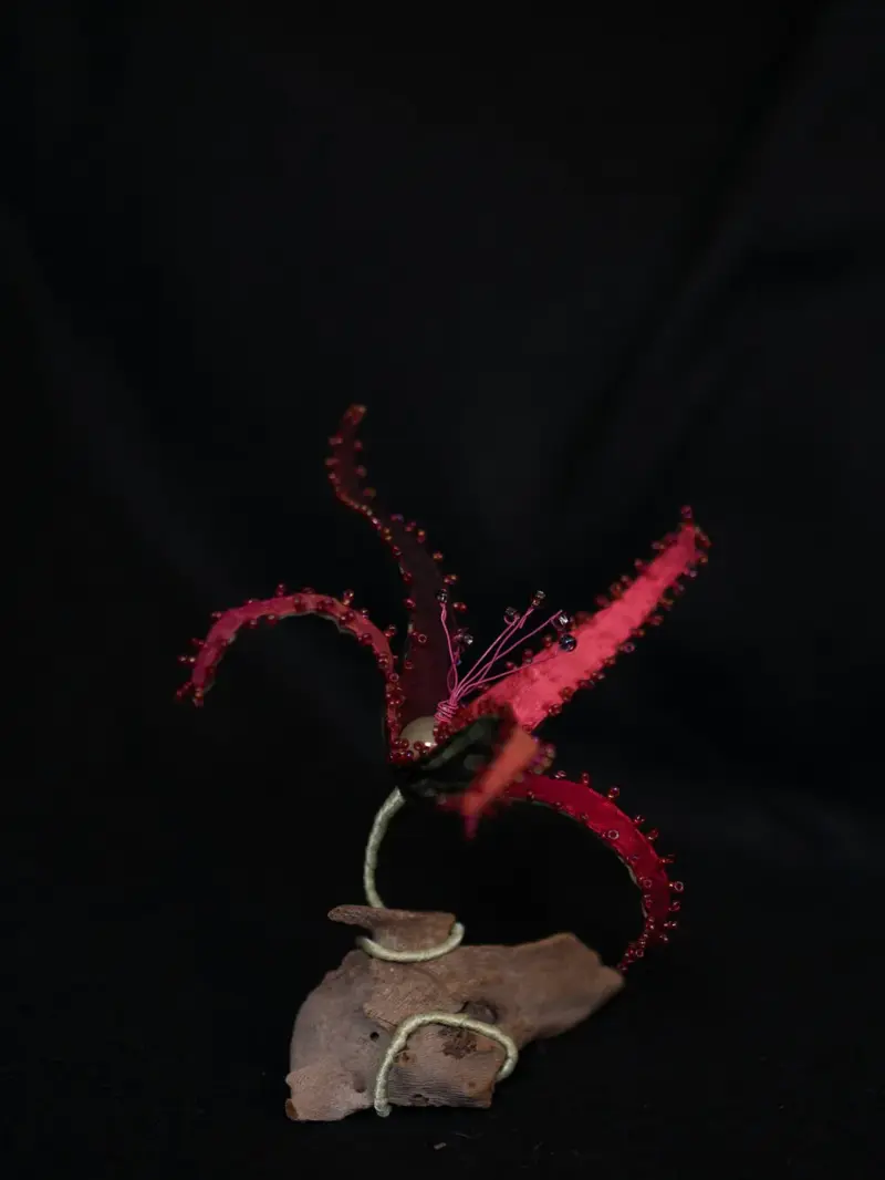 Life Forms (2016)
