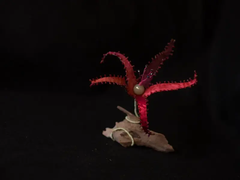 Life Forms (2016)