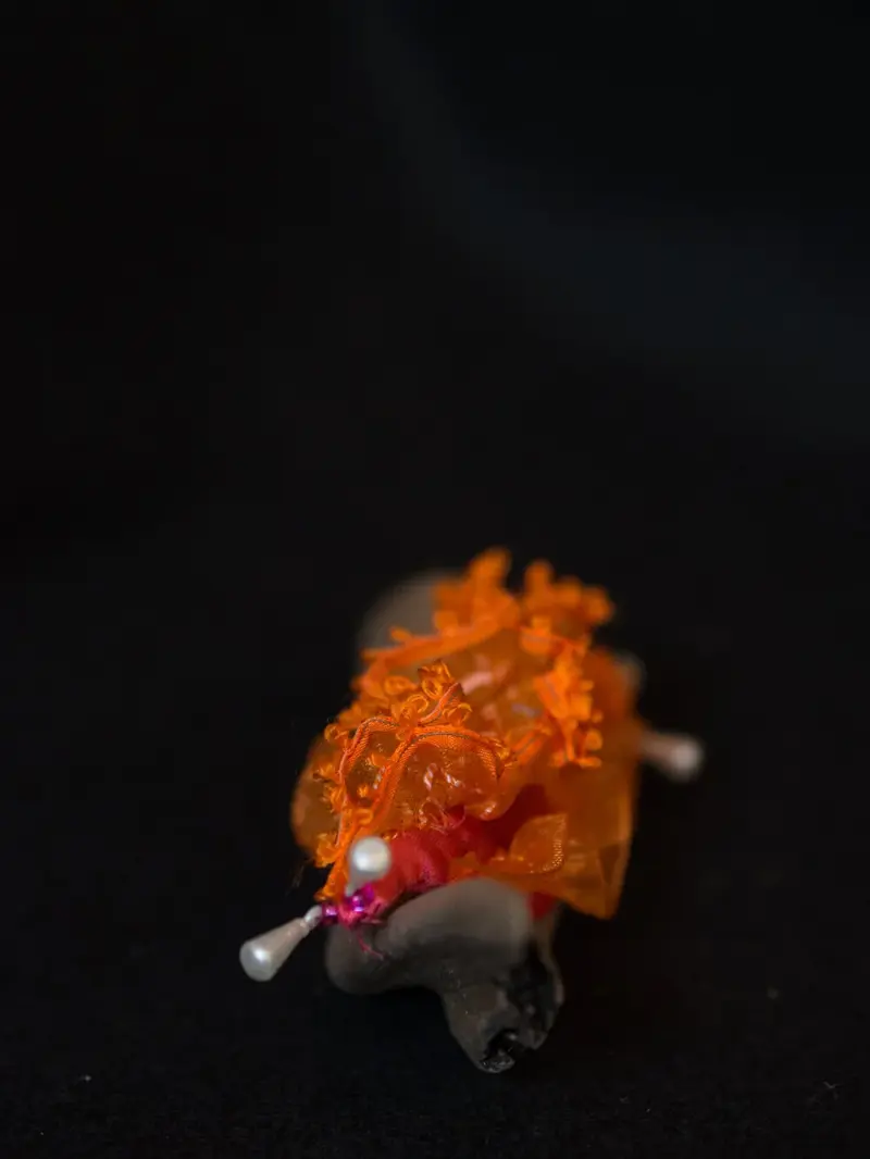 Life Forms (2016)