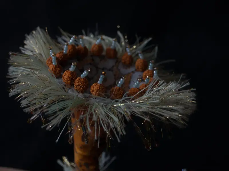 Life Forms (2016)