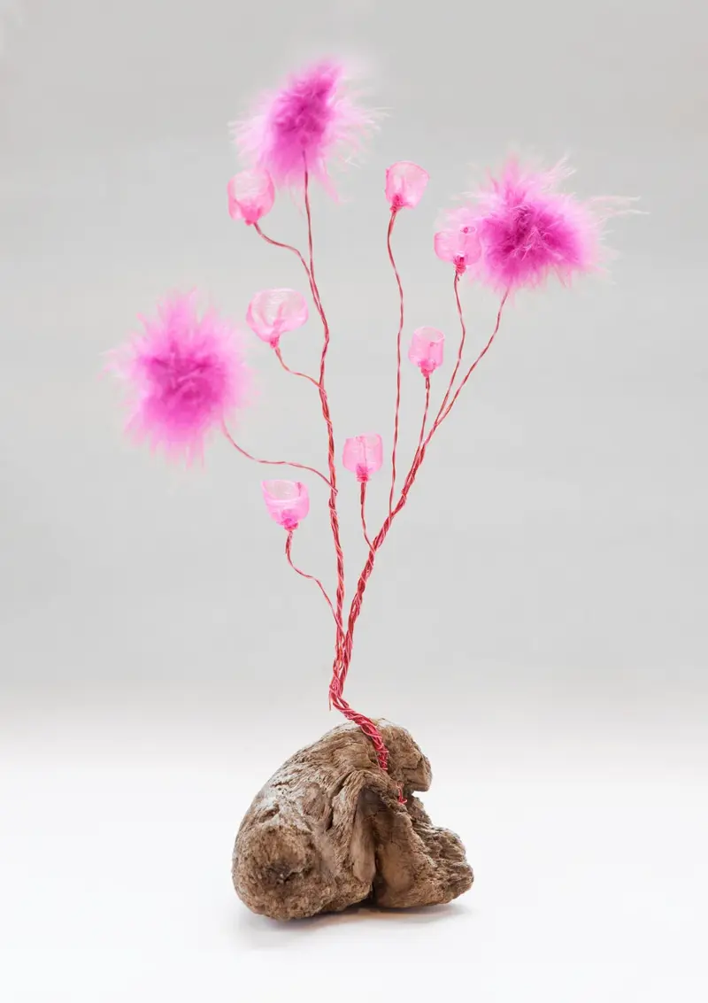 Life Forms (2016)