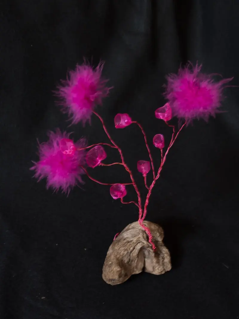 Life Forms (2016)