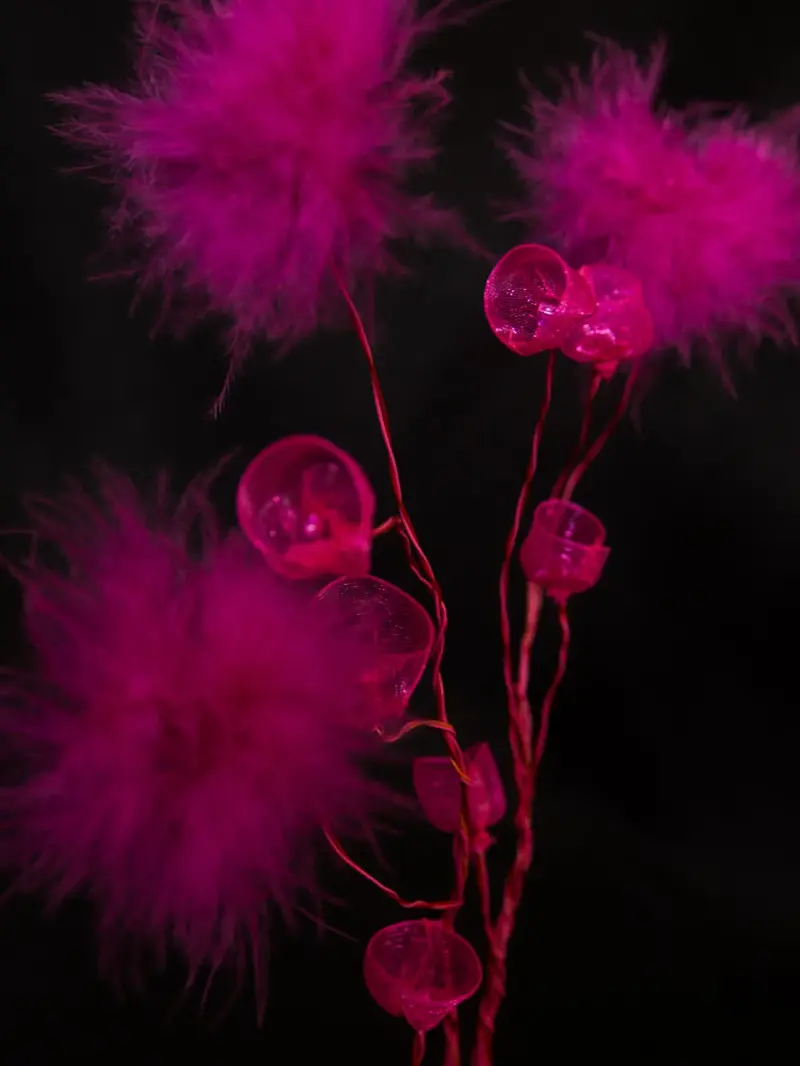 Life Forms (2016)