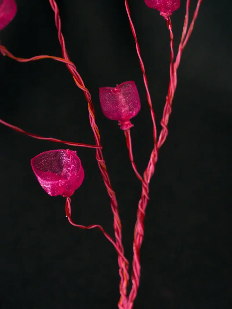 Life Forms (2016)