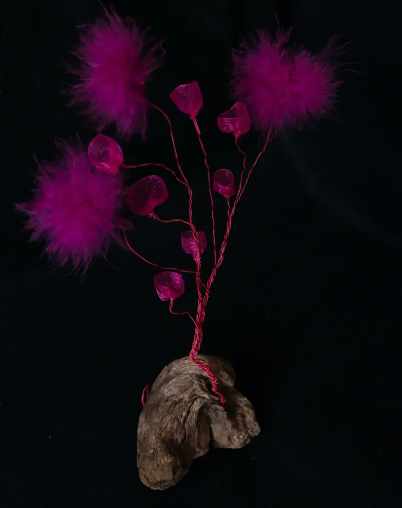 Life Forms (2016)
