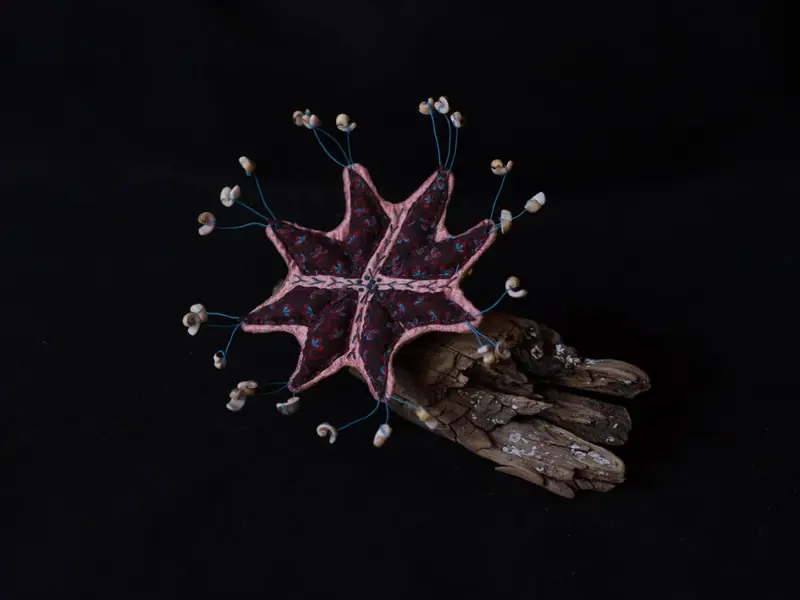 Life Forms (2016)