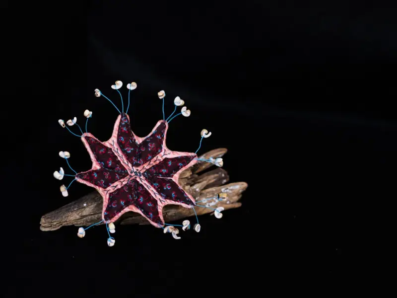 Life Forms (2016)