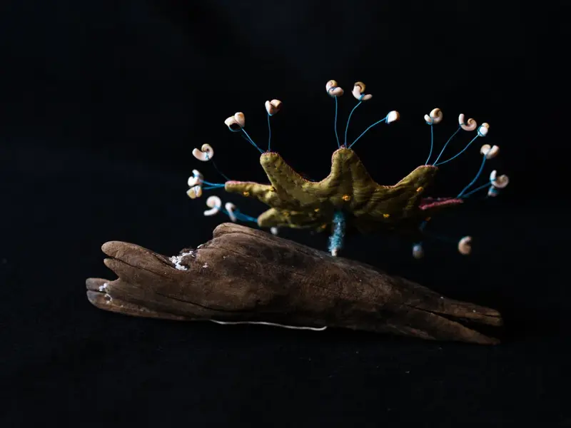Life Forms (2016)