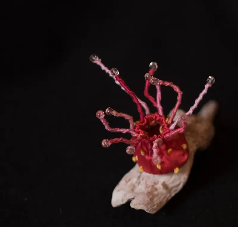 Life Forms (2016)