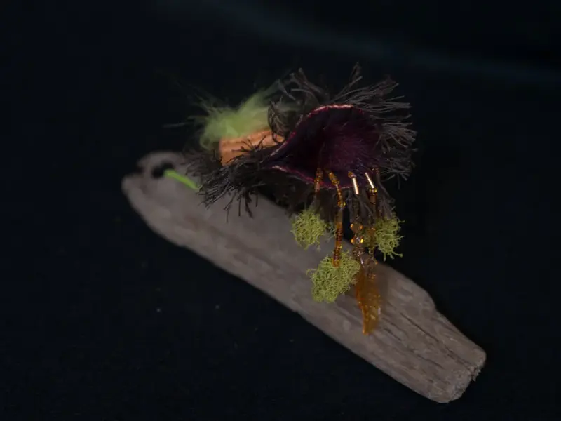 Life Forms (2016)
