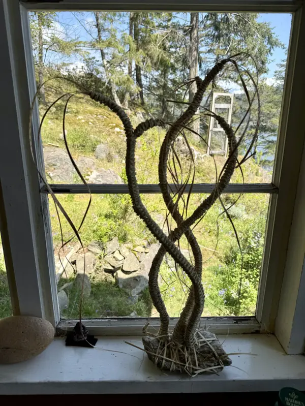 Not an Ocotillo (2024)
