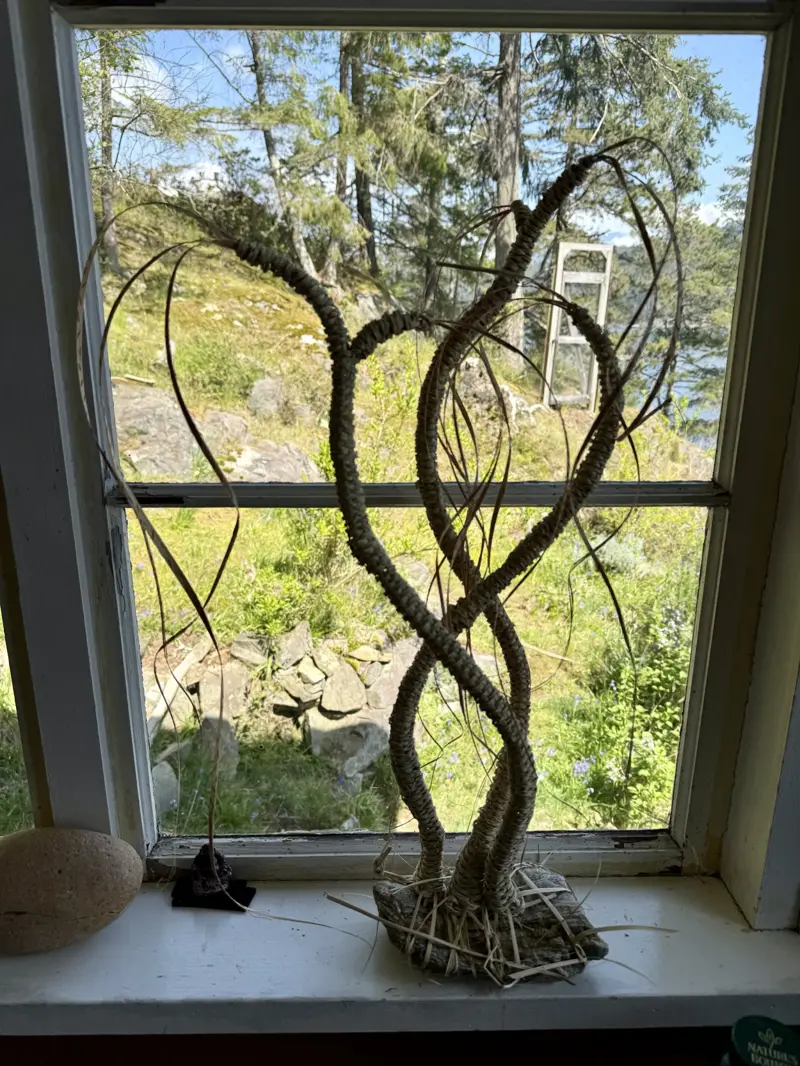 Not an Ocotillo (2024)
