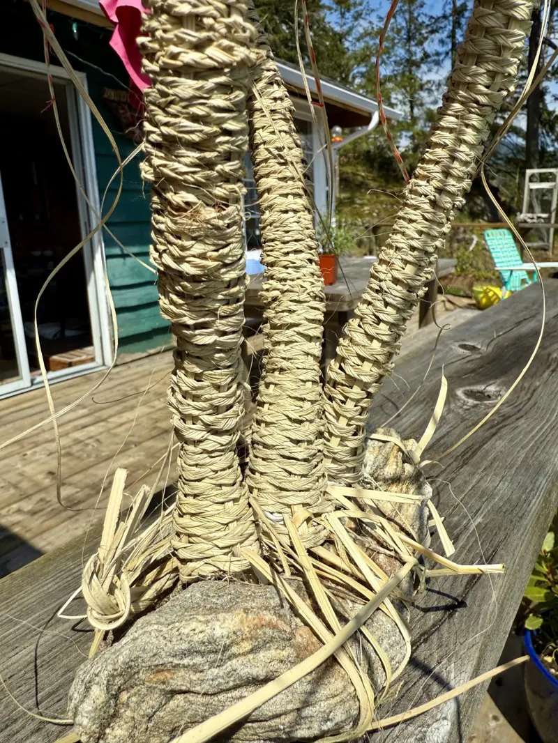 Not an Ocotillo (2024)