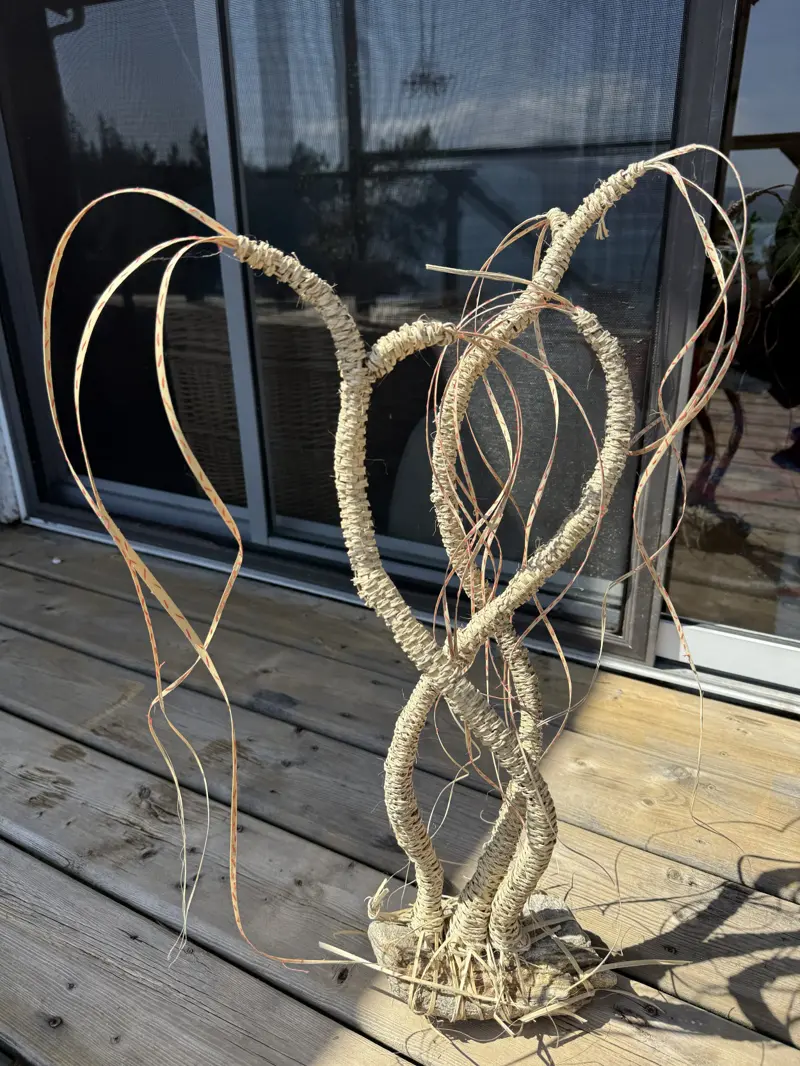 Not an Ocotillo (2024)