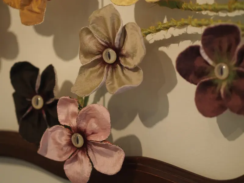 Spring (2017)