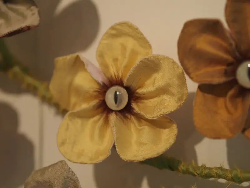 Spring (2017)
